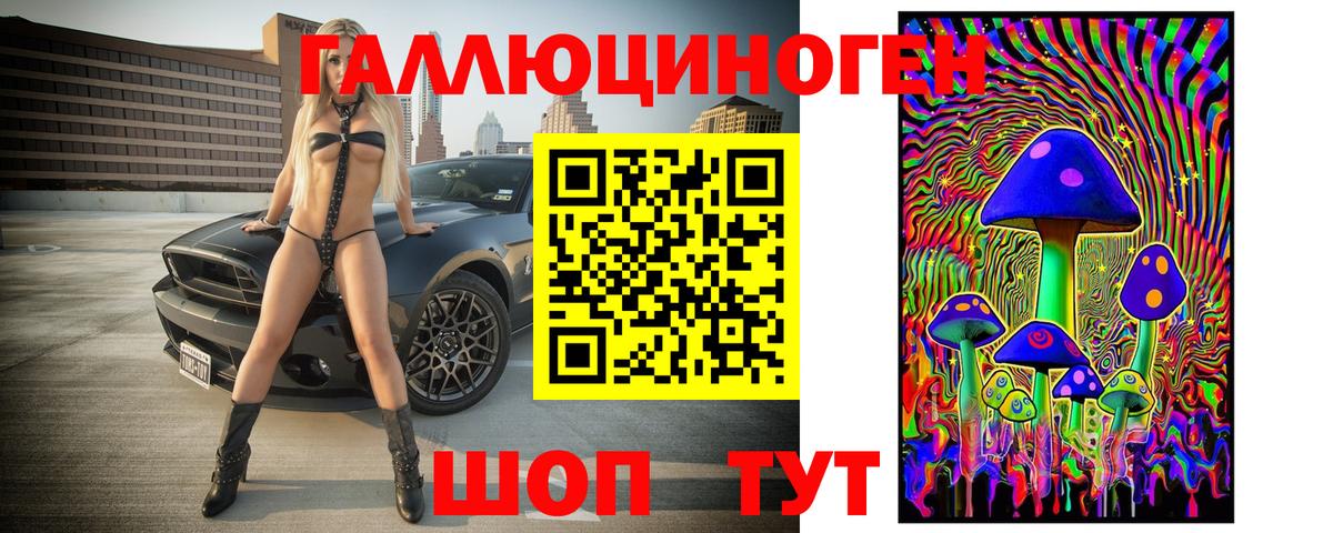 Псилоцибиновые грибы GOLDEN TEACHER  Псилоцибиновые грибы Psilocybine cubensis  Салехард  Вход с VPN 